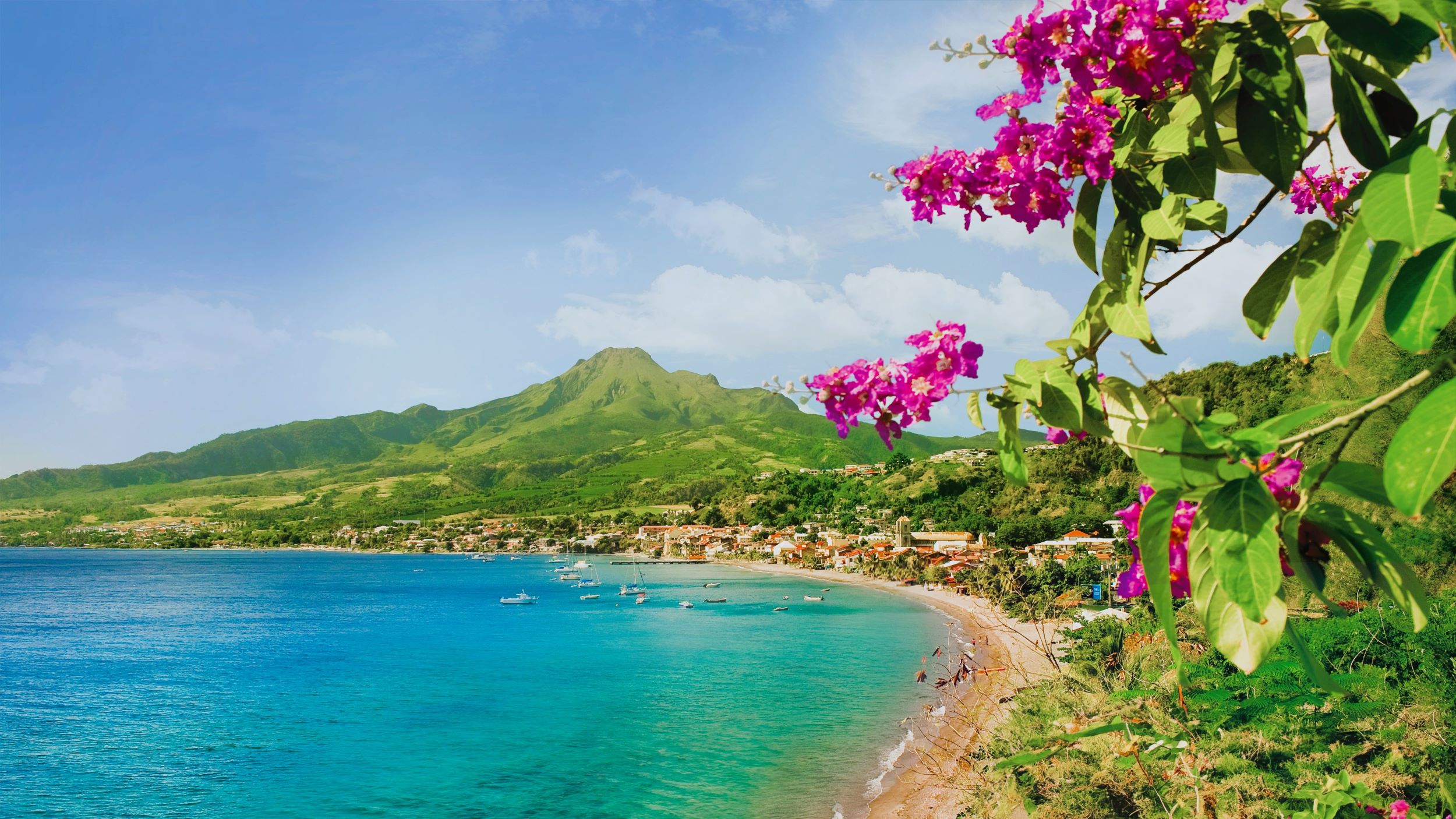 Éoliennes sur un littoral — image du CAGI à remplacer